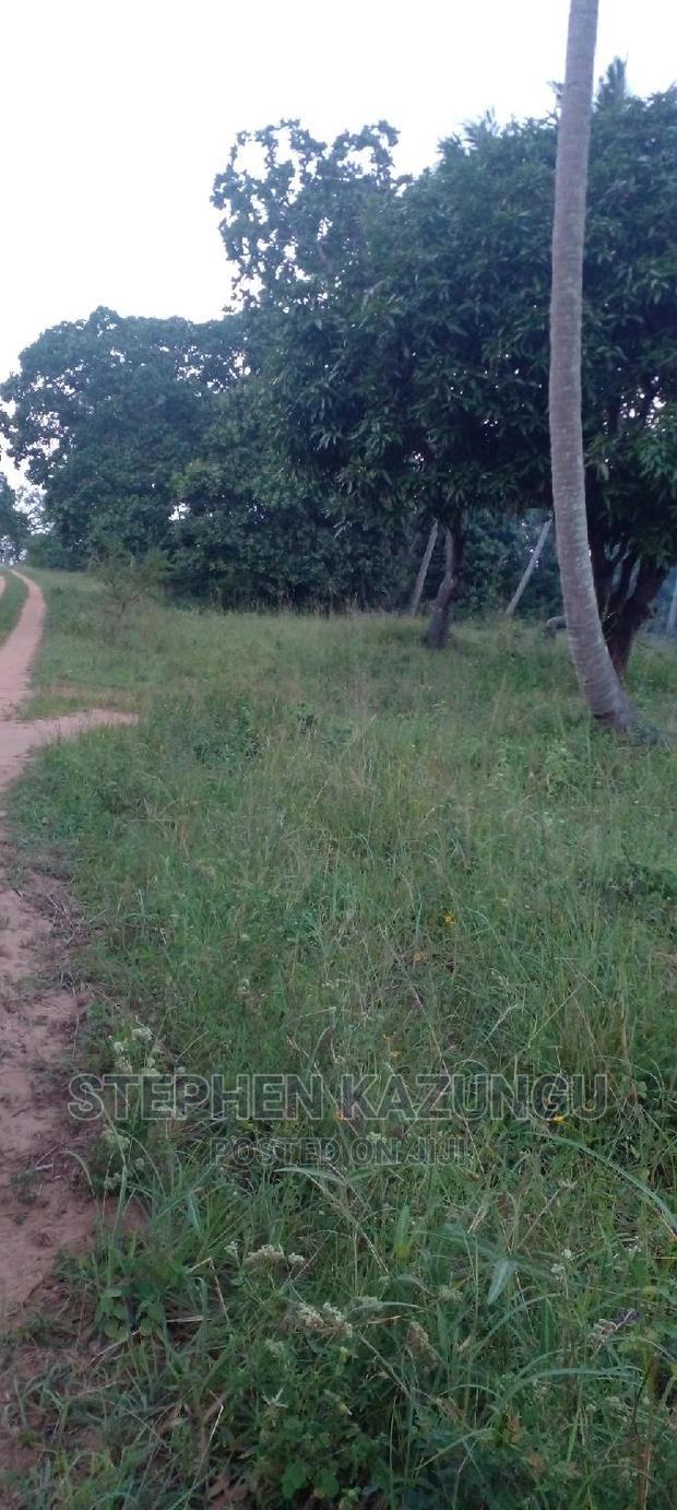 Nice 1/8 Acre Near Kwale at Tsimba About 5 KMS to Kwale Town.