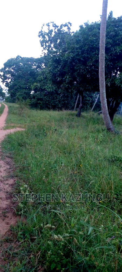 Nice 1/8 Acre Near Kwale at Tsimba About 5 KMS to Kwale Town. - Image 9