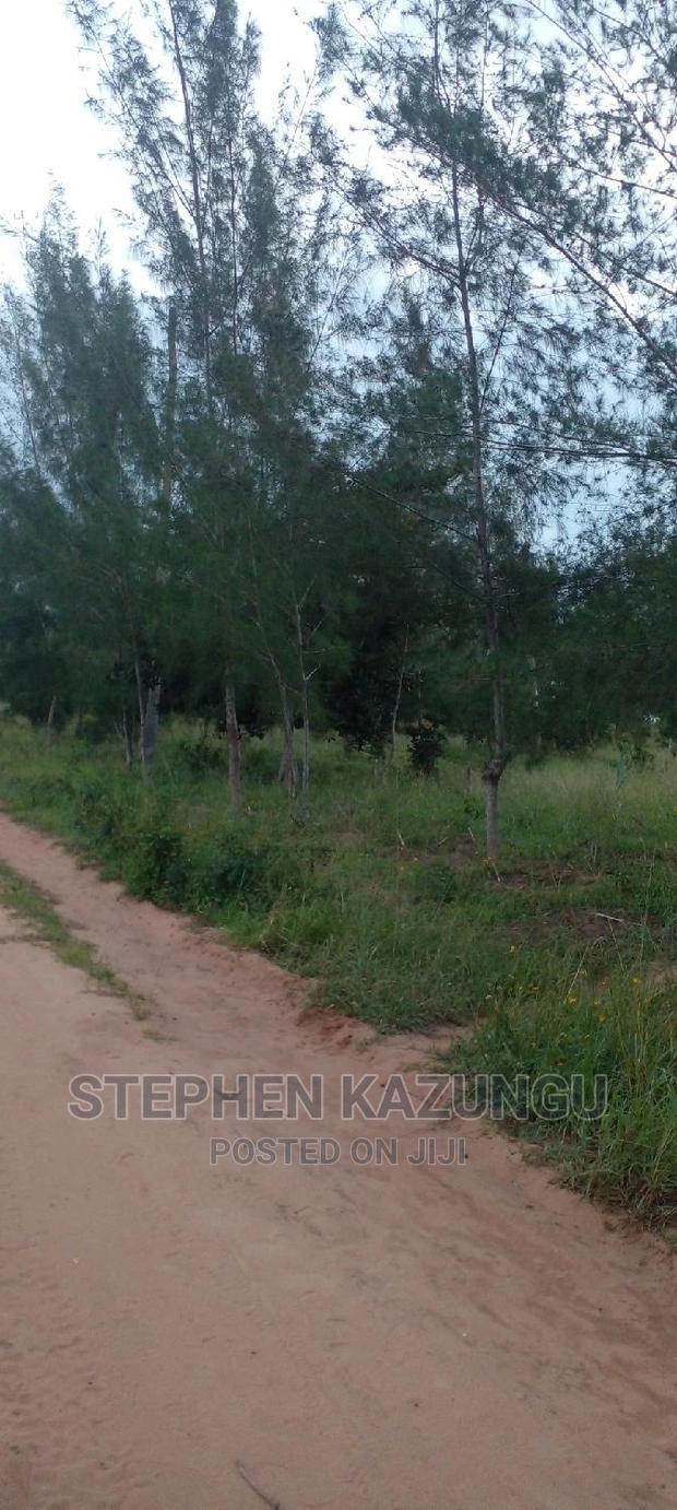Nice 1/8 Acre Near Kwale at Tsimba About 5 KMS to Kwale Town.