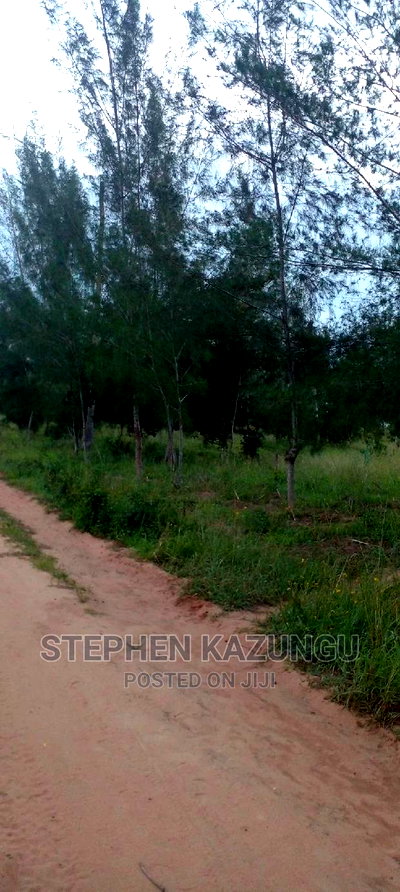 Nice 1/8 Acre Near Kwale at Tsimba About 5 KMS to Kwale Town. - Image 3