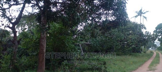 Nice 1/8 Acre Near Kwale at Tsimba About 5 KMS to Kwale Town.