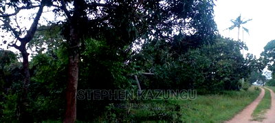Nice 1/8 Acre Near Kwale at Tsimba About 5 KMS to Kwale Town. - Image 6