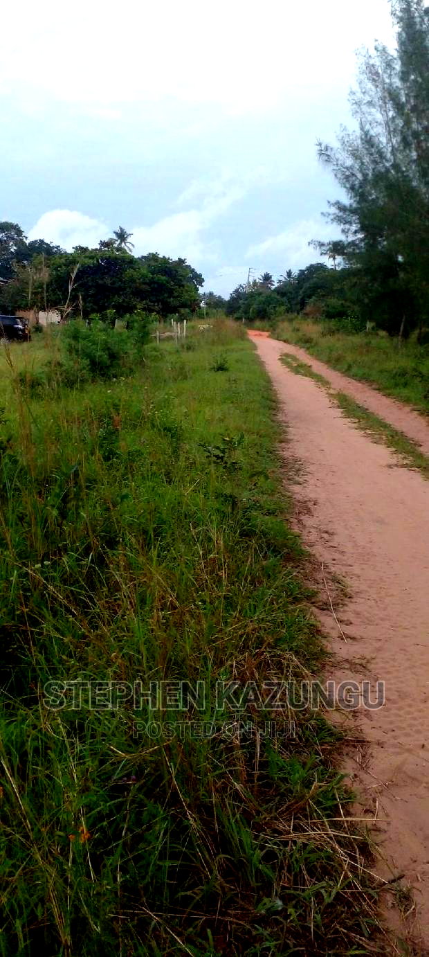 Nice 1/8 Acre Near Kwale at Tsimba About 5 KMS to Kwale Town.
