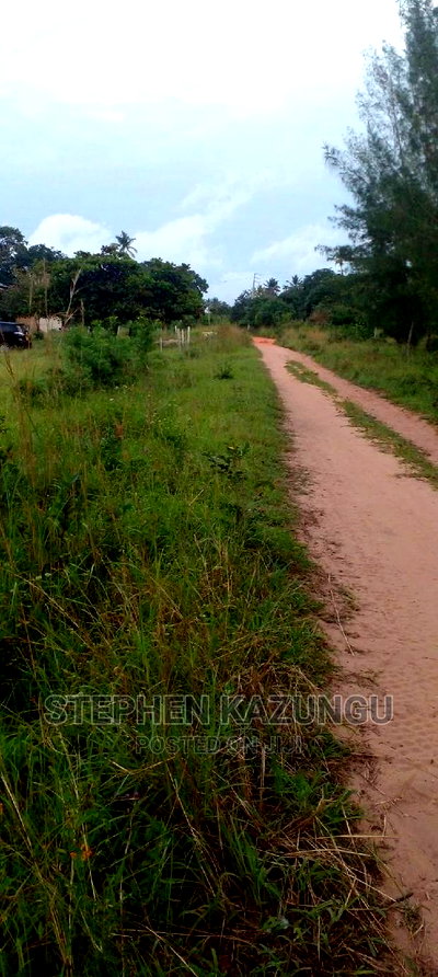 Nice 1/8 Acre Near Kwale at Tsimba About 5 KMS to Kwale Town. - Image 1