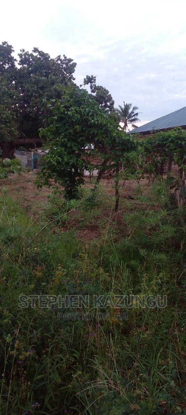 Nice 1/8 Acre Near Kwale at Tsimba About 5 KMS to Kwale Town.