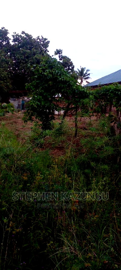 Nice 1/8 Acre Near Kwale at Tsimba About 5 KMS to Kwale Town. - Image 7