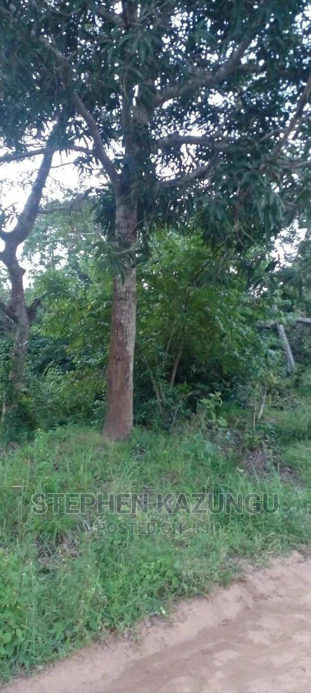 Nice 1/8 Acre Near Kwale at Tsimba About 5 KMS to Kwale Town.