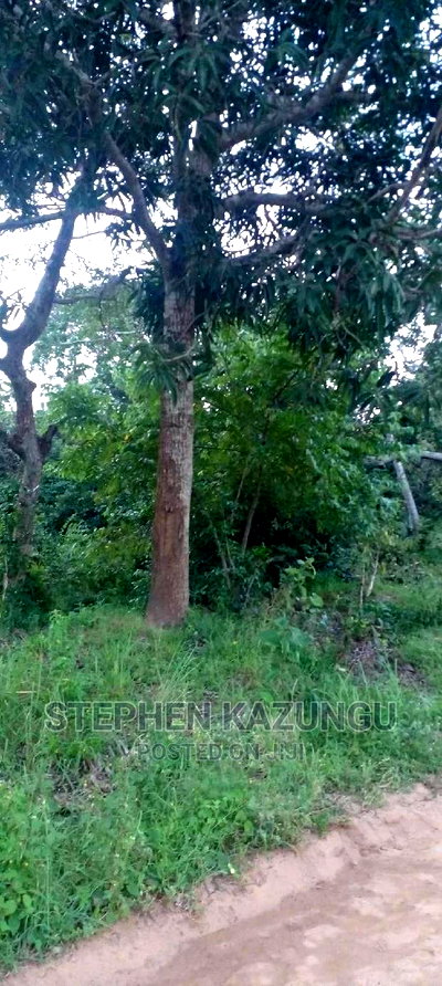Nice 1/8 Acre Near Kwale at Tsimba About 5 KMS to Kwale Town. - Image 2