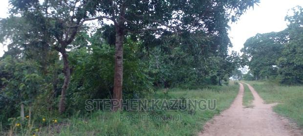 Nice 1/8 Acre Near Kwale at Tsimba About 5 KMS to Kwale Town.