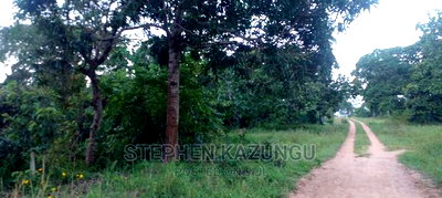 Nice 1/8 Acre Near Kwale at Tsimba About 5 KMS to Kwale Town. - Image 5