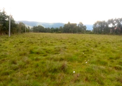 7-Acre Plot for KSh 1.4M in Nyandarua