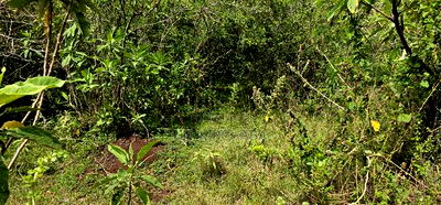 Prime 10 Acres Land for Sale in Kaptuli Eldoret - Image 1