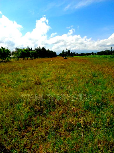 7 Acreas Nanyuki Burgret - Image 2