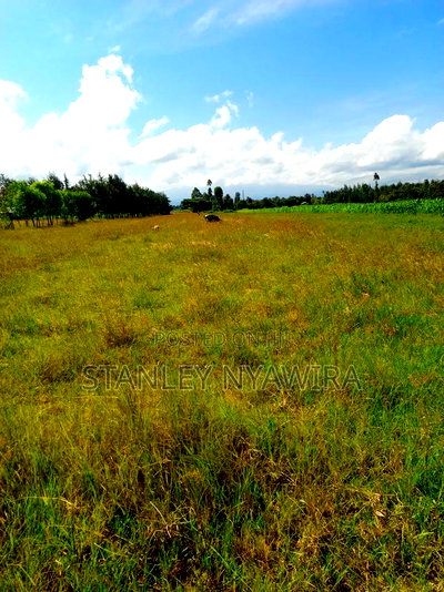 7 Acreas Nanyuki Burgret - Image 3