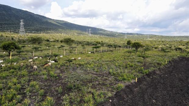 1/8 Acre Kisamis at