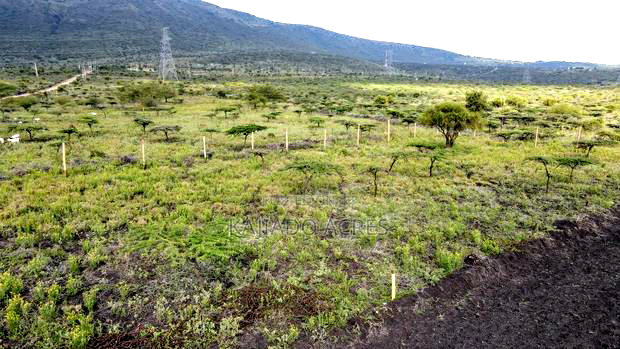 1/8 Acre Kisamis at