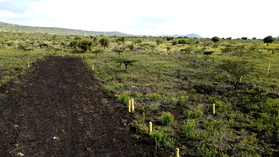 1/8 Acre Kisamis at - Image 7