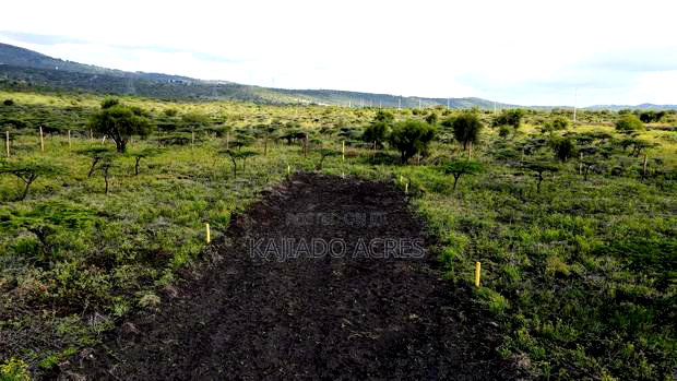 1/8 Acre Kisamis at