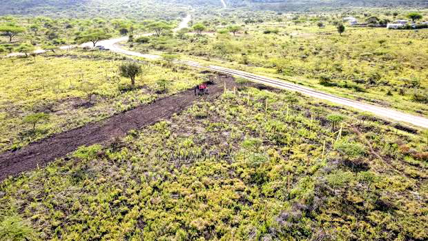 1/8 Acre Kisamis at