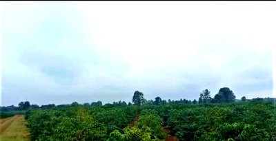 16500 Acres Kiambu Garden Land