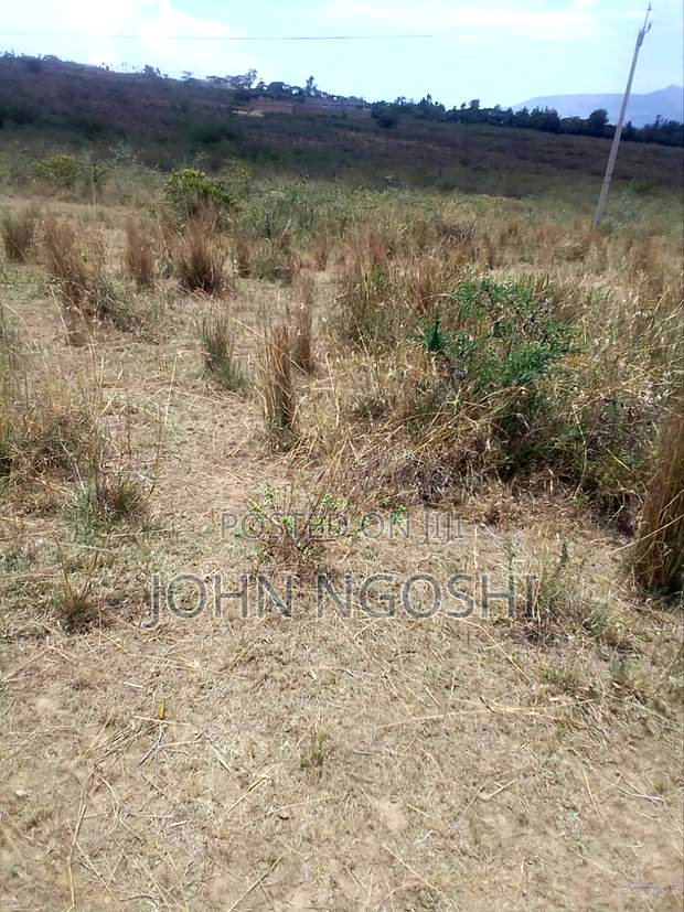 1/8 Acre Plot Naivasha Murera