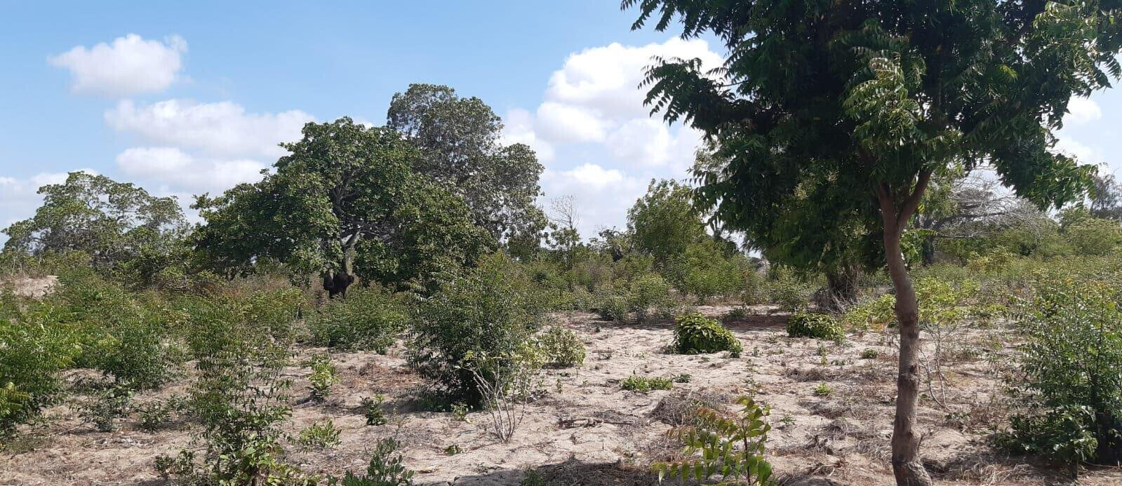 3-Acre Plot with Garden & Parking at KSh 2.4M
