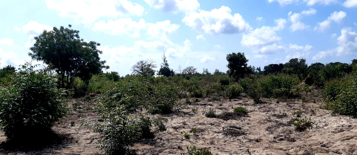3-Acre Plot with Garden & Parking at KSh 2.4M