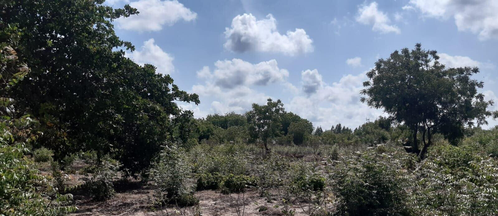3-Acre Plot with Garden & Parking at KSh 2.4M