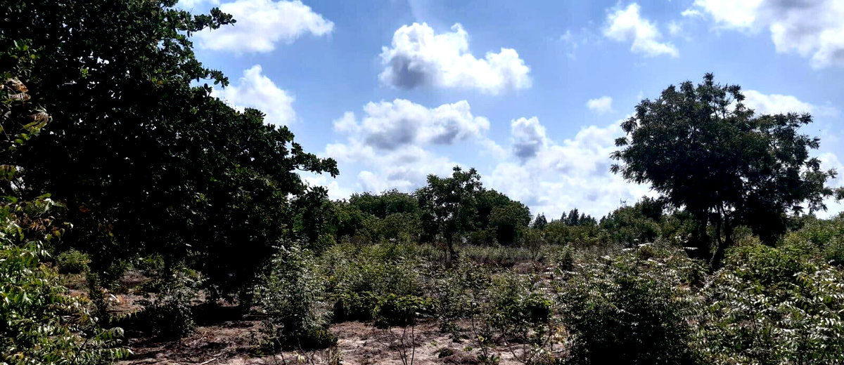 3-Acre Plot with Garden & Parking at KSh 2.4M