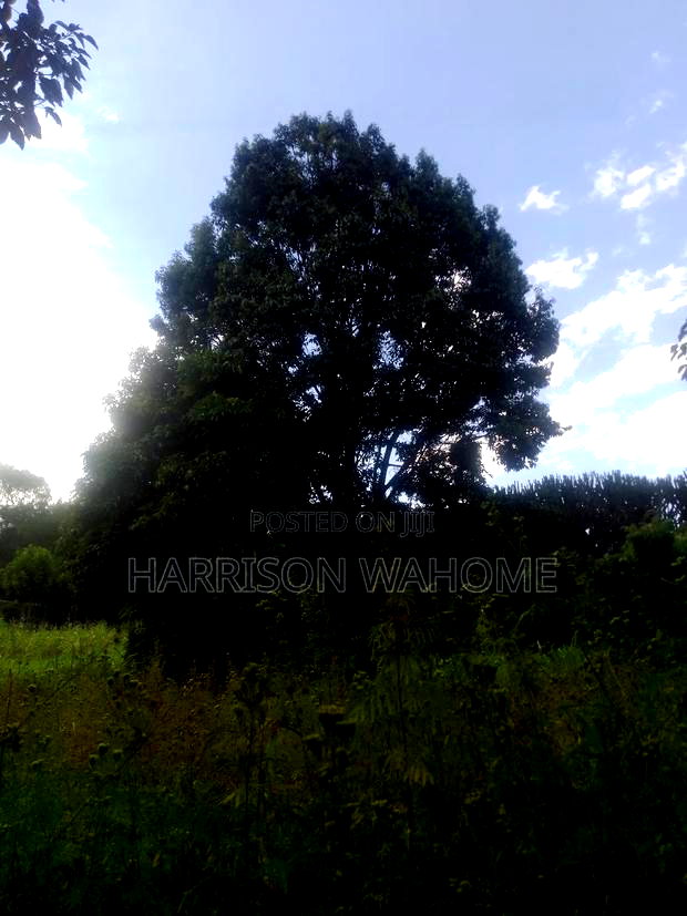 Residential Plot for Sale in Ngong
