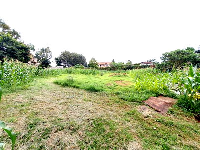Runda 3/4 Acre Residential Plot for Sale - Image 2