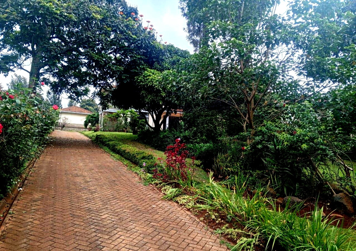 4BR All-Ensuite Townhouse on Half-Acre with Fruit Trees – Rosslyn