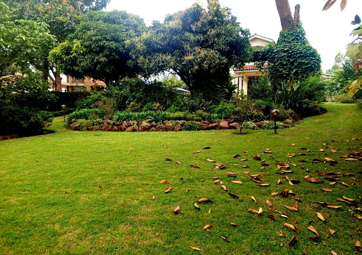 4BR All-Ensuite Townhouse on Half-Acre with Fruit Trees – Rosslyn