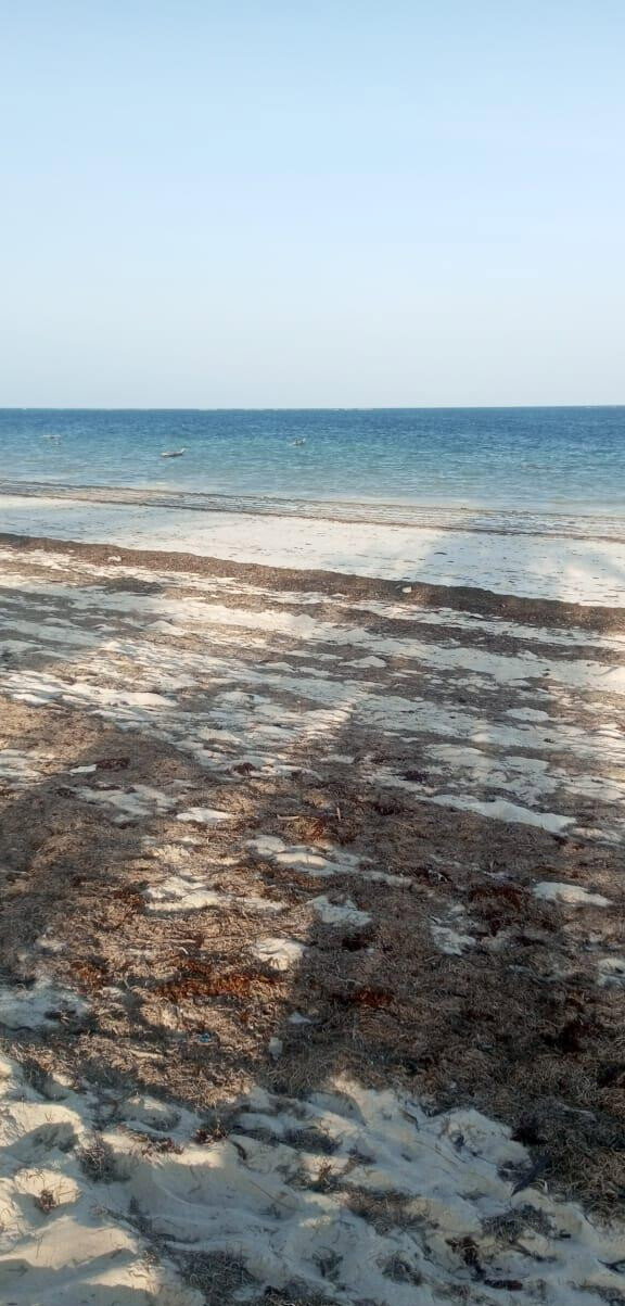 2.44 Ha Beach Property with Garden