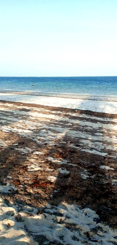 2.44 Ha Beach Property with Garden
