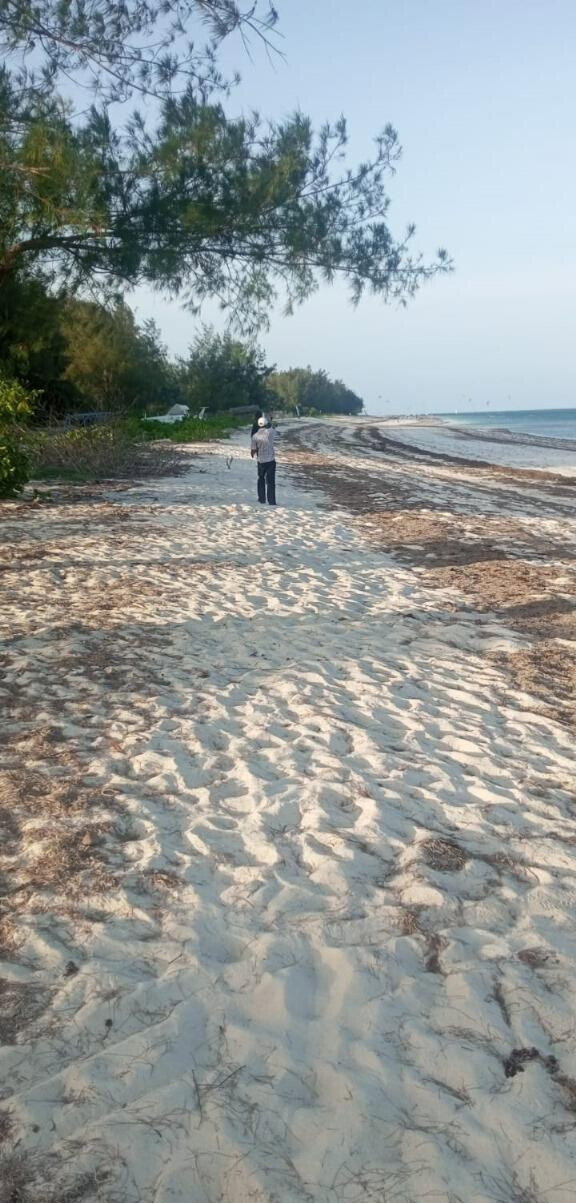 2.44 Ha Beach Property with Garden