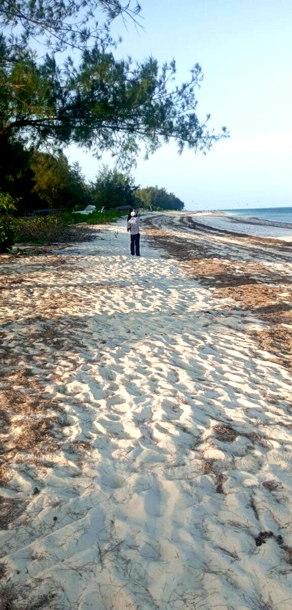 2.44 Ha Beach Property with Garden