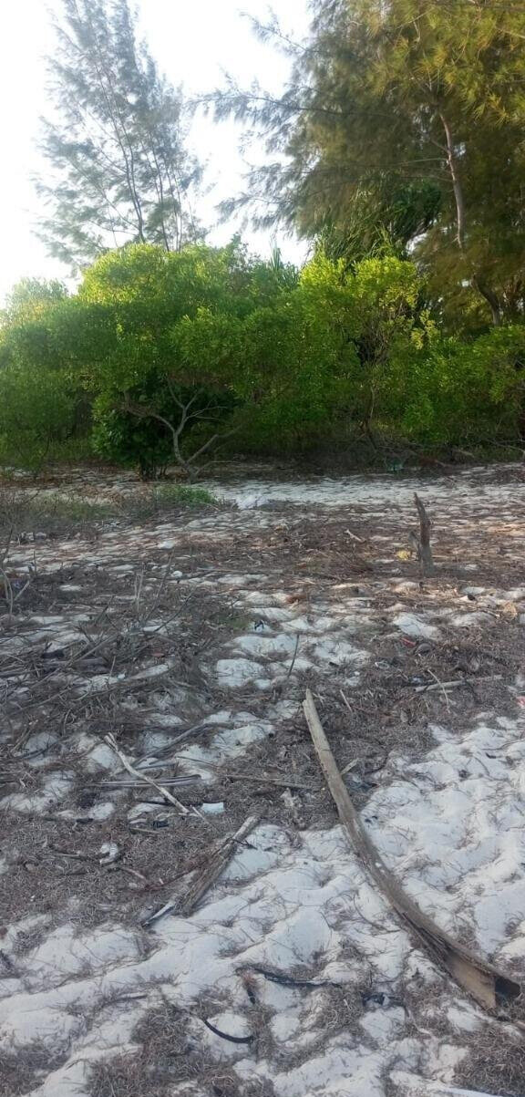 2.44 Ha Beach Property with Garden