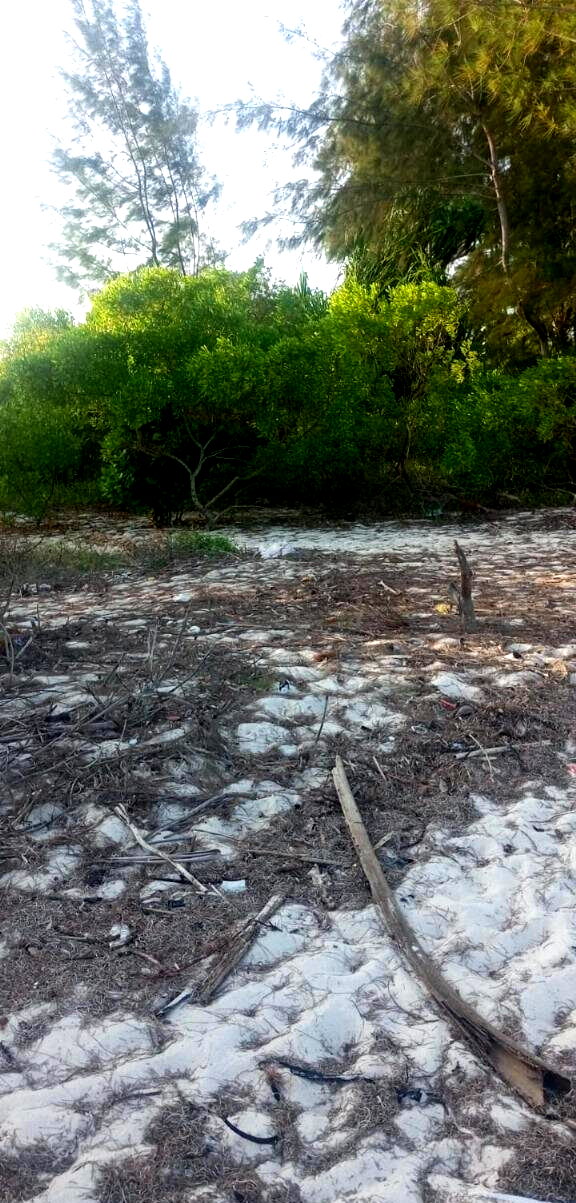 2.44 Ha Beach Property with Garden