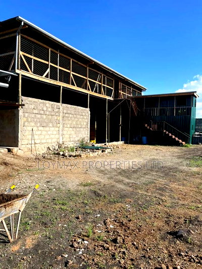 Selling One Acre Developed Daily Farm - Image 2
