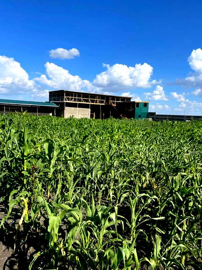 Selling One Acre Developed Daily Farm - Image 1