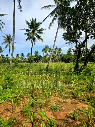 1acre Land Tezo Kilifi for Sale - Image 2