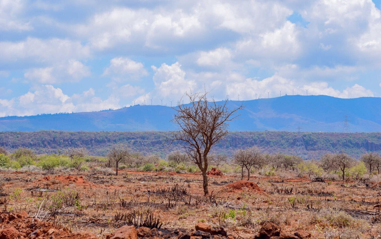 50x100 Plot Under 1M - Ngong