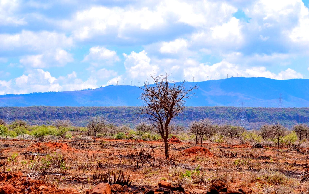 50x100 Plot Under 1M - Ngong
