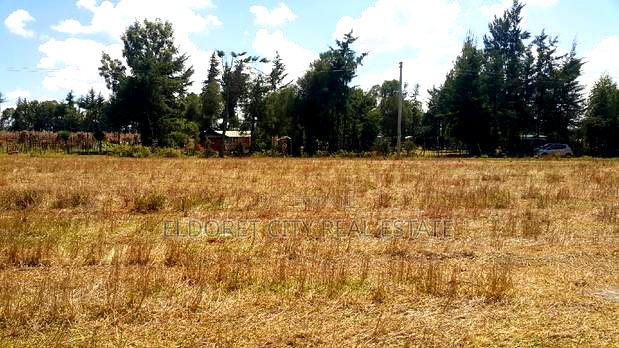 1/4 Plots Ilula 750 Metres From Tarmac