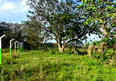 1.1 Acres in Nakuru Town East for KSh 5M