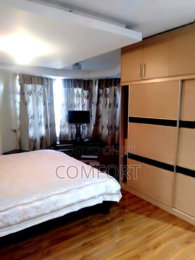 Furnished 4bdrm Apartment in Statehouse Road., Kilimani for rent - Image 13