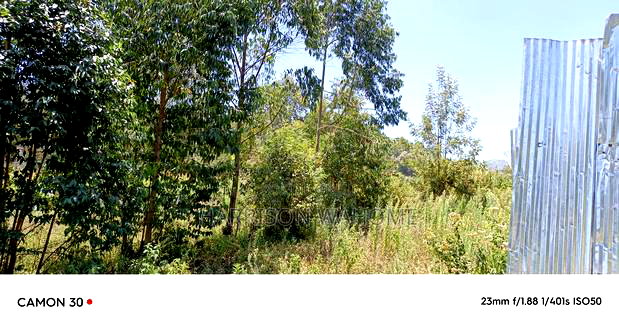 Quarter Acre Plot for Sale in Ngong 400 Metres From Tarmac