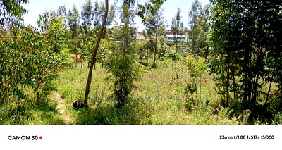 Quarter Acre Plot for Sale in Ngong 400 Metres From Tarmac - Image 2