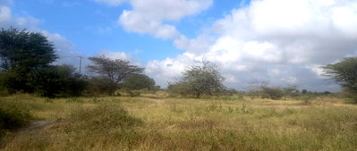 1-Acre Plot in Syokimau
